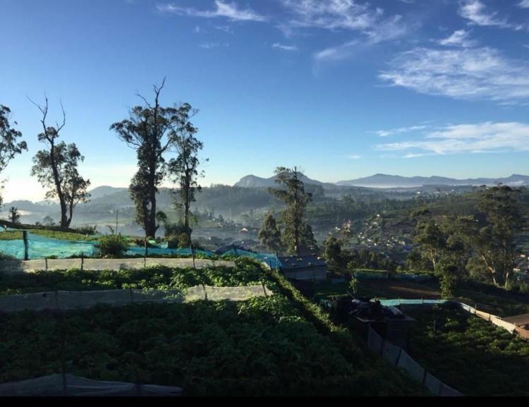 The Paulwood Home Cabin Nuwara Eliya Exterior photo